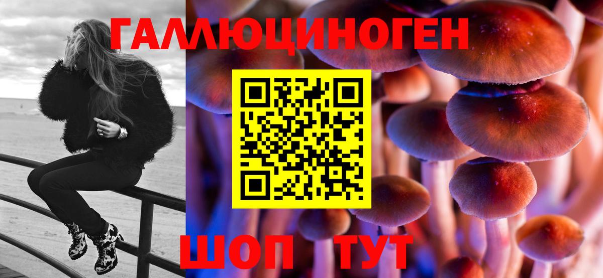 Каменск-Уральский  Галлюциногенные грибы MAGIC MUSHROOMS  Вход с VPN 