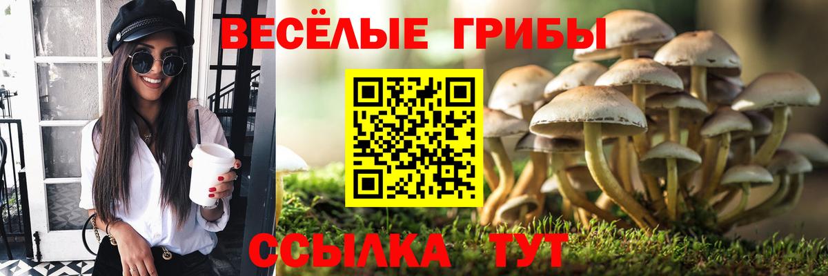 Псилоцибиновые грибы GOLDEN TEACHER Каменск-Уральский